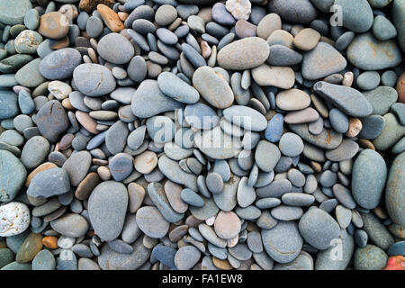 Kiesel Steinen glatt Hintergrund Mischungsfarbe und Form Stockfoto