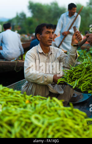 Kashmiri Mann mit Skala, mit einem Gewicht von Gemüse für den Verkauf auf Shikara Boot auf dem schwimmenden Markt an Dal-See in Kaschmir Stockfoto