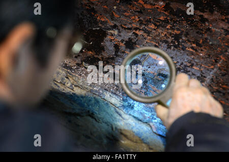 (151220)--NANCHANG, 20. Dezember 2015 (Xinhua)--ein Archäologe inspiziert den inneren Deckel der wichtigsten Sarg auf dem Friedhof von Haihunhou (Marquis von Haihun), Osten Chinas Jiangxi Provinz, 20. Dezember 2015. Der äußere Deckel der wichtigsten Sarg auf dem Haihunhou Friedhof wurde am Sonntag eröffnet. Laut Archäologen auf der Baustelle werden Reliquien im wichtigsten Sarg in der 2.000 Jahre alten Grab des Haihunhou wahrscheinlich die Insassen Identität zu offenbaren. Der Haihunhou-Friedhof in der Nähe von Nanchang, Hauptstadt der Osten Chinas Jiangxi Provinz, ist die vollständigste bekannten westlichen Han-Dynastie (206 v. Chr. - 24 n. Chr.) cemeter Stockfoto