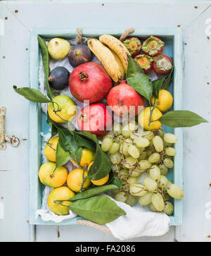Verschiedene bunte tropische Früchte Auswahl im blauen Holztablett, Ansicht von oben Stockfoto