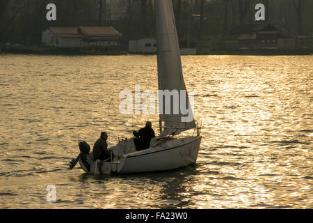 Belgrad, Serbien - zwei Herren genießen Sie Segeln in einer Mikro-Klasse-Yacht auf einem sonnigen Herbstnachmittag am Fluss Sava Stockfoto