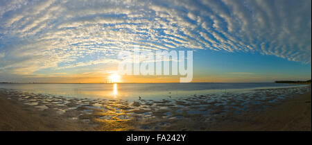 Sonnenaufgang über Bob Graham Sunshine Skyway Bridge eine Schrägseilbrücke über Tampa Bay, Florida Stockfoto