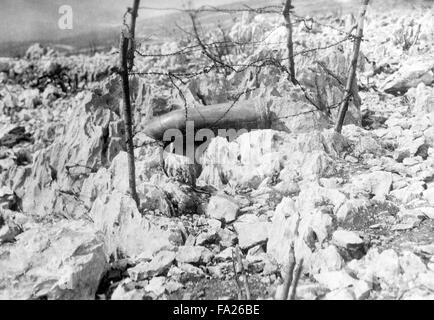 Ein Blindgänger Schale aus dem 2. Weltkrieg Stockfoto