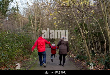 Familie, Wandern in den Wäldern Stockfoto