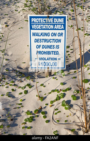 Schützende Vegetation Bereich Strand Schild Warnung, die zu Fuß auf den Sanddünen verboten ist Stockfoto