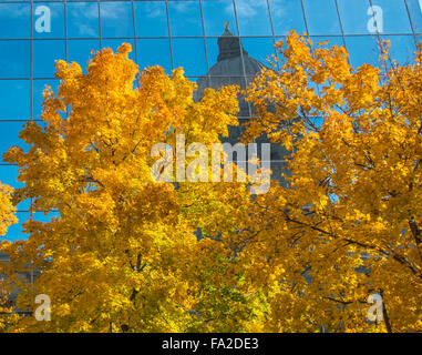 IDAHO STATE CAPITOL in die Hall of Mirrors, gesäumt von Herbst Bäume widerspiegelt. Boise, Idaho, USA Stockfoto