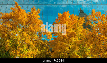 IDAHO STATE CAPITOL in die Hall of Mirrors, gesäumt von Herbst Bäume widerspiegelt. Boise, Idaho, USA Stockfoto