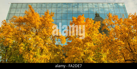 IDAHO STATE CAPITOL in die Hall of Mirrors, gesäumt von Herbst Bäume widerspiegelt. Boise, Idaho, USA Stockfoto