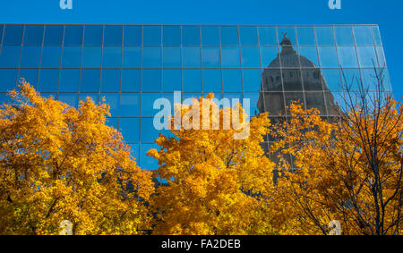 IDAHO STATE CAPITOL in die Hall of Mirrors, gesäumt von Herbst Bäume widerspiegelt. Boise, Idaho, USA Stockfoto