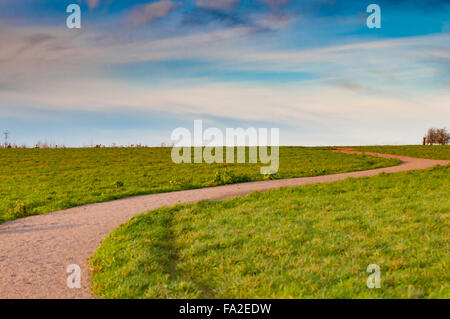 Gewundenen Weg durch eine Wiese in einem Naturschutzgebiet Stockfoto