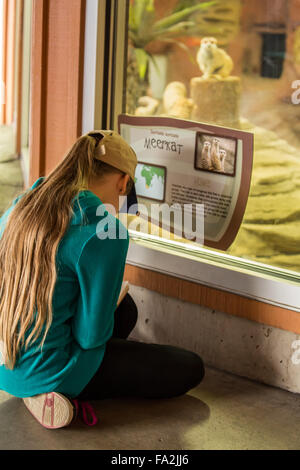 Neunjähriges Mädchen Schreiben von Notizen in ihrem Tagebuch über die Erdmännchen-Ausstellung im Woodland Park Zoo in Seattle, Washington, USA Stockfoto