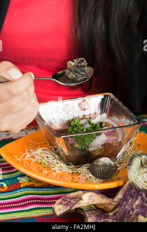 Köstliche ecuadorianische Meeresfrüchte, cebiche Stockfoto