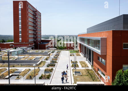 Madrid Spanien,Hispanic Moncloa-Aravaca,Complutense Universität Madrid,Universidad Complutense de Madrid,Menendez Pelayo plaza,Campus,Schule,Gebäude Stockfoto