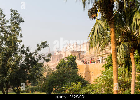 Elefanten mit Touristen bis zu Amber (Amer) Fort in Jaipur Stockfoto