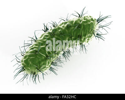 Grüne Bakterien isoliert auf weißem Hintergrund Stockfoto