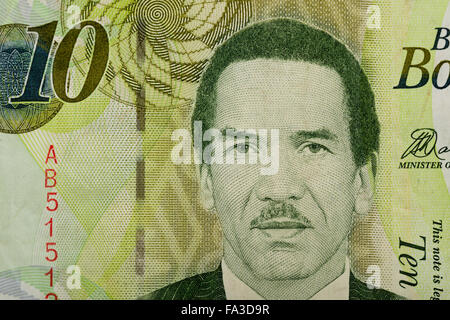 Detail der 10 Botswana Pula Banknote. Botswana Pula ist die nationale Währung von Botswana Stockfoto