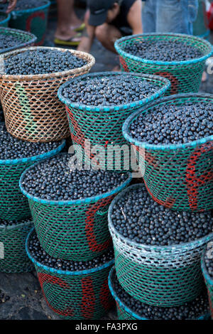 Morgens açai berry Tropical Fruit Market in Belem, Para, Brasilianische Amazonas Stockfoto