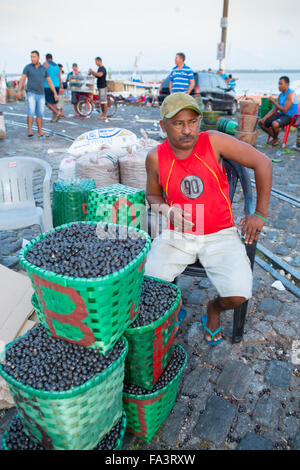 Morgens açai berry Tropical Fruit Market in Belem, Para, Brasilianische Amazonas Stockfoto