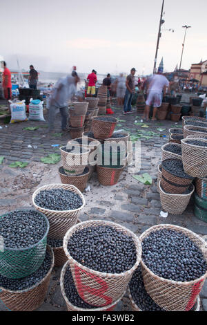 Morgens açai berry Tropical Fruit Market in Belem, Para, Brasilianische Amazonas Stockfoto