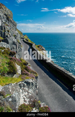 Single Track Küstenstraße am Slea Head in Irland Stockfoto