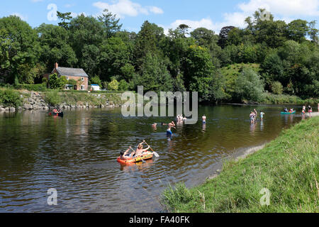 Menschen, die genießen, Rudern, Paddeln und schwimmen auf und in den Fluss Wye am Stadtrand von die Bücherstadt Hay-on-Wye, Powys, Wale Stockfoto