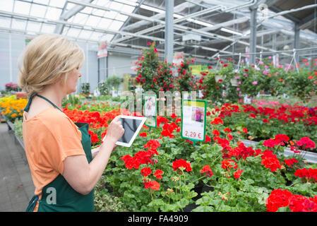 Weibliche Gärtner überprüft Inventar mit digital-Tablette im Gartencenter, Augsburg, Bayern, Deutschland Stockfoto