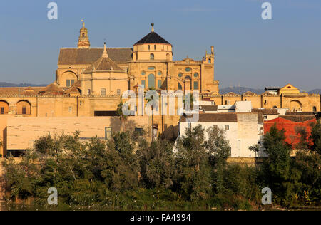 Mezquita Kathedrale Baudenkmäler, große Moschee, Cordoba, Spanien Stockfoto