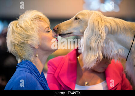 Crufts Dog Show im NEC, Birmingham - trifft ein Hundeliebhaber ein Afghanischer Windhund mit dem Kosenamen "Marcus" vor Vorführung Stockfoto