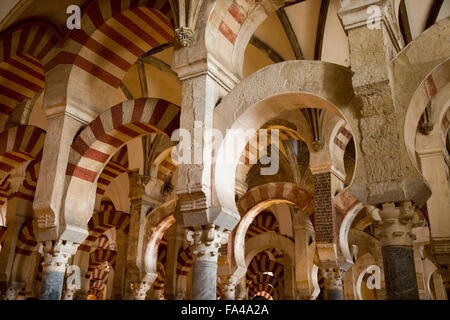 Maurischen Bögen in der ehemaligen Moschee jetzt Kathedrale, Cordoba, Spanien Stockfoto