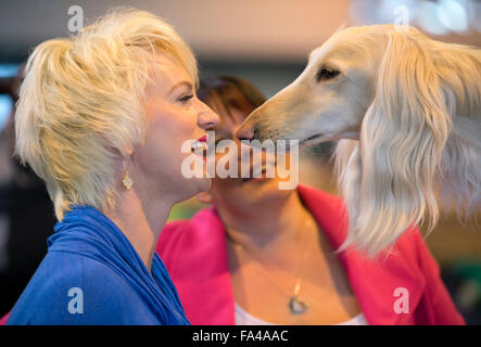 Crufts Dog Show im NEC, Birmingham - trifft ein Hundeliebhaber ein Afghanischer Windhund mit dem Kosenamen "Marcus" vor Vorführung Stockfoto