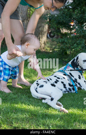 Mutter hilft ihr Baby jungen streicheln Dalmatiner in Rasen, München, Bayern, Deutschland Stockfoto