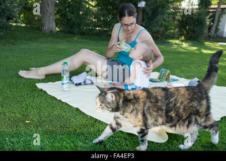 Mutter, füttern ihre Jungen mit Flasche in Rasen und Katze zu Fuß über München, Bayern, Deutschland Stockfoto