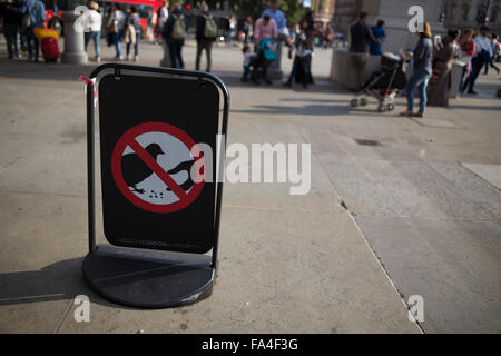 Unterzeichnen Sie nicht füttern der Tauben am Trafalgar Square in London Stockfoto