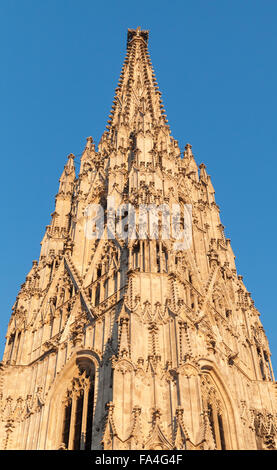 Turm der Stephansdom in Wien, Österreich Stockfoto