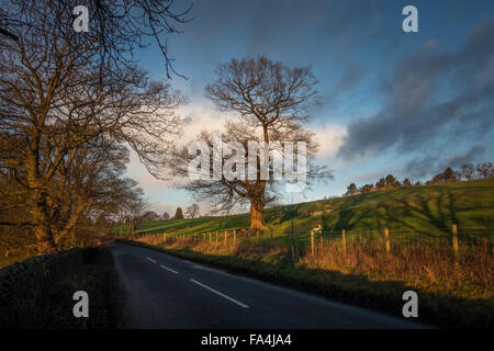 Frühen Morgenlicht auf einer Nebenstraße von Otley, Ilkley, Yorkshire, England Stockfoto