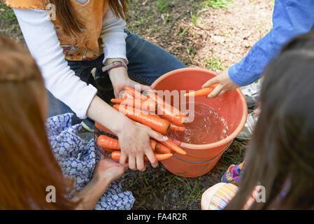 Gruppe von Freunden, die Karotten waschen, bei Picknick, München, Bayern, Deutschland Stockfoto