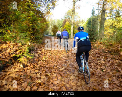 Radfahrer auf Rennmotorrädern in Forst im Herbst in den Niederlanden Stockfoto