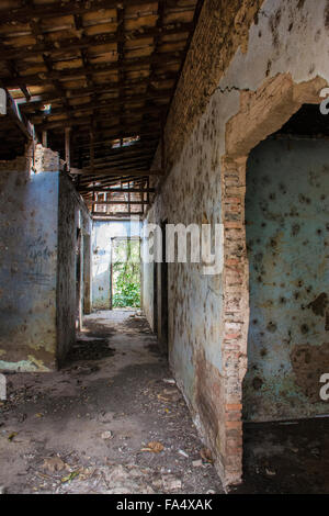 Flur, die Tür und Grünflächen außerhalb in einem verlassenen Gebäude in Mato Grosso, Brasilien, Südamerika Stockfoto