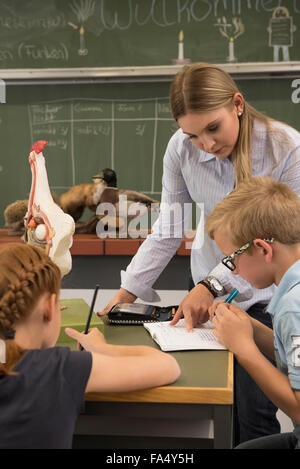 Biologie-Lehrer erklären, etwas für die Schüler im Biologieunterricht, Fürstenfeldbruck, Bayern, Deutschland Stockfoto