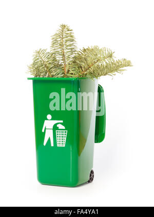 Zweige einer Tanne im grünen Wheelie bin Stockfoto