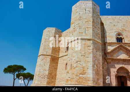 Castel Del Monte Andria Apulien Italien Europa Stockfoto