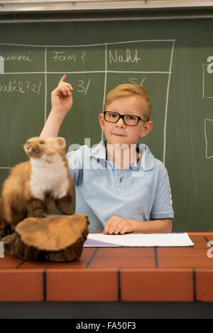 Schuljunge antwortet in einem Biologiekurs mit erhobener Hand, Fürstenfeldbruck, Bayern, Deutschland Stockfoto