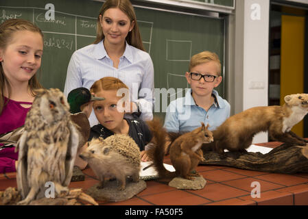 Schüler mit Lehrer, die Kuscheltiere in einem Biologiekurs untersuchen, Fürstenfeldbruck, Bayern, Deutschland Stockfoto