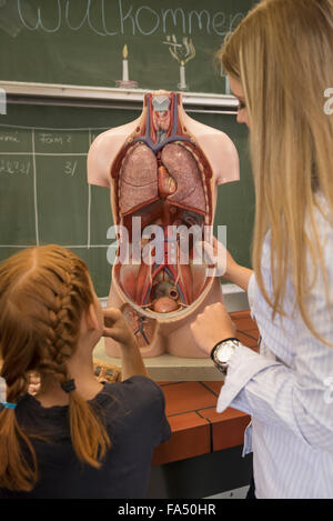 Studentin der Biologie Lehrer Lehre über menschliche Organe im Klassenzimmer, Fürstenfeldbruck, Bayern, Deutschland Stockfoto