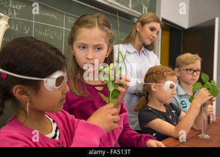 Schulkinder mit Lehrerin im Biologiekurs, Fürstenfeldbruck, Bayern, Deutschland Stockfoto