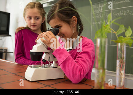 Schulmädchen, das durch ein Mikroskop schaut, Fürstenfeldbruck, Bayern, Deutschland Stockfoto