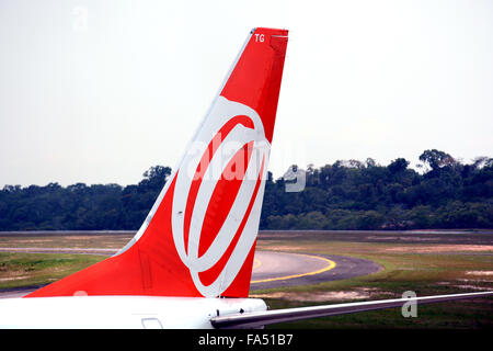 Tail-Flugzeug der Gol Airlines Company in Flughafen Brasilia Brasilien Stockfoto