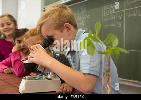 Schüler, die durch ein Mikroskop schauen, Fürstenfeldbruck, Bayern, Deutschland Stockfoto