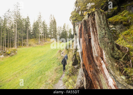 Zwei ältere Wanderer Wandern im Wald, Alpen, Kärnten, Österreich Stockfoto