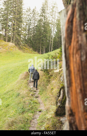 Zwei ältere Wanderer Wandern im Wald, Alpen, Kärnten, Österreich Stockfoto